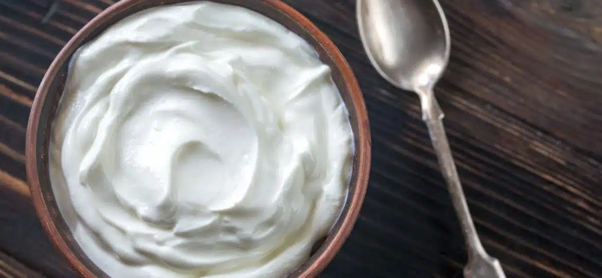 greek-style-yogurt